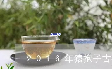 猿抱子古树茶官网白茶，探索古老韵味：探访猿抱子古树茶官网，品味白茶的独特魅力