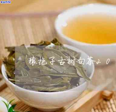 猿抱子古树茶红茶35g价格，品味古韵，探寻自然：猿抱子古树茶红茶35g特价