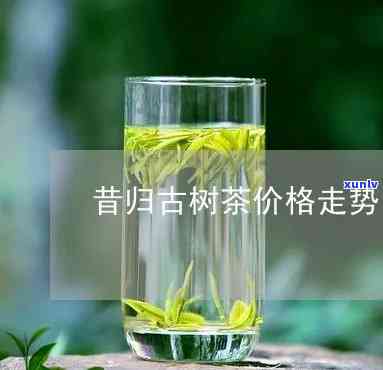 昔归古树茶叶多少钱，探寻昔日韵味：古树茶叶的价格解析