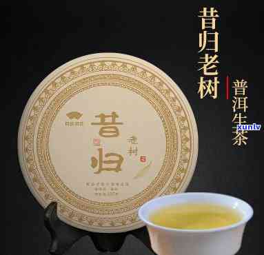 昔归古树茶1803-昔归古树茶叶多少钱