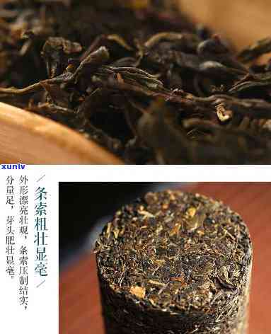 昔归古树茶2006普洱，品味历与自然的交融：探寻2006年昔归古树茶的魅力