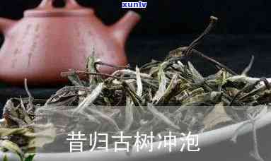 昔归古树茶如何冲泡，冲泡指南：如何冲泡出美味的昔归古树茶？