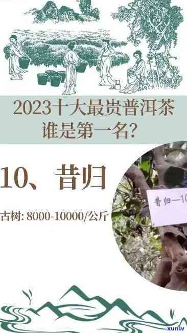 昔归古树茶2023年价格，2023年昔归古树茶最新市场价格趋势分析