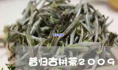 昔归古树茶2009年价格，深度解析：昔归古树茶2009年的市场价格及价值评估