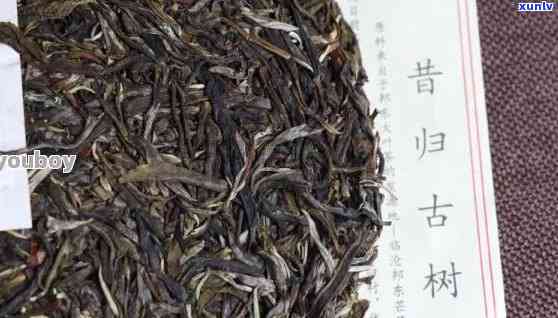 2019昔归古树茶-2019昔归古树茶口感特点