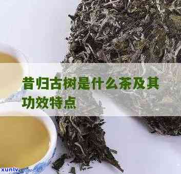 昔归茶和昔归古树茶一样吗，昔归茶与昔归古树茶：有何不同？