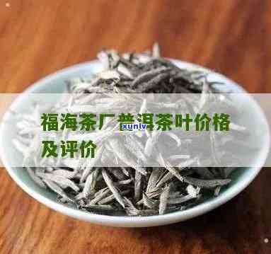 福海茶厂甲级沱茶价格表：详细列出各规格的价格信息