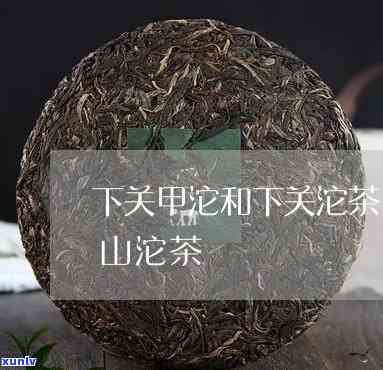 下关沱茶和下关甲沱-下关沱茶和下关甲沱茶的区别