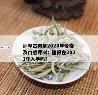 那罕古树茶出自哪里-那罕古树茶出自哪里的