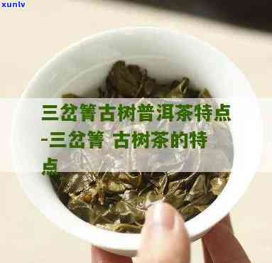 三岔箐古树茶的特点，探秘云南古树茶：三岔箐的独特魅力与特点