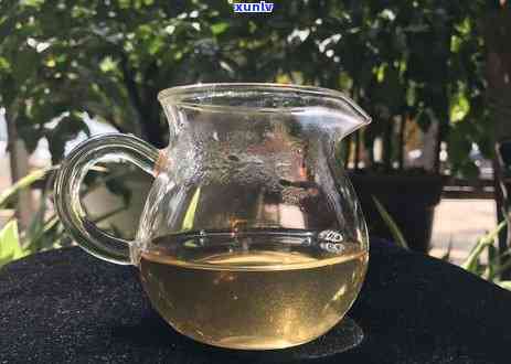 磨烈古树茶口感特点，探秘古树茶：磨烈古树茶的口感特点解析