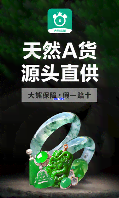 翡翠珠宝：一站式选购优质翡翠，大熊翡翠等您来挑