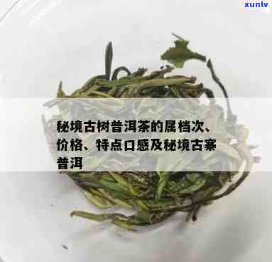 秘境古树茶产于哪里-秘境茶叶是什么档次的