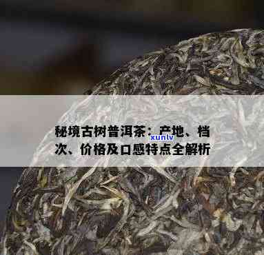 秘境古树茶产于哪里-秘境茶叶是什么档次的