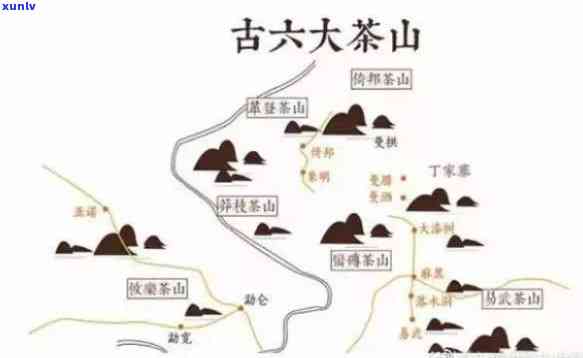 革登古树茶产地介绍：你了解它来自哪里吗？