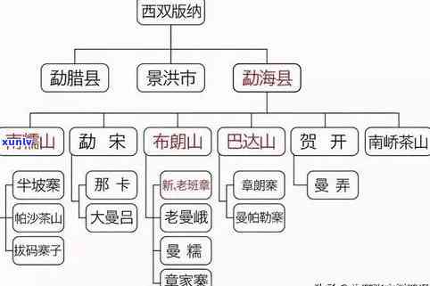 子箐古树普洱茶介绍：口感特点与价格一览