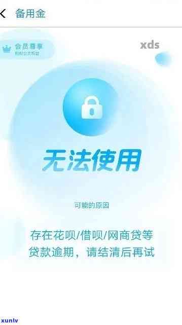 平安2万备用金逾期怎么办，急需解决！平安2万备用金逾期解决指南