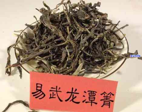 龙潭箐古树茶在哪里-龙潭箐古树茶在哪里生产