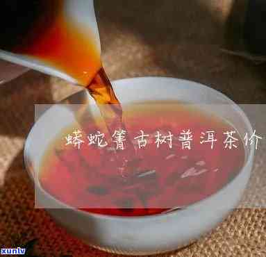 蟒蛇箐古树茶在哪里-蟒蛇箐古树茶价位多少