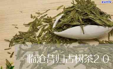 临沧昔归龙印古树茶-云南临沧昔归古树茶