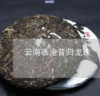 临沧昔归龙印古树茶-云南临沧昔归古树茶