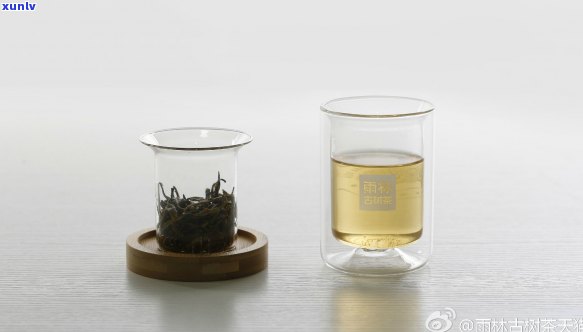 雨林古树茶好在哪里-雨林古树茶好吗