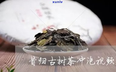 昔归古树茶：冲泡 *** 与功效全解析