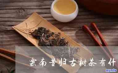 喝昔归古树茶的好处-昔归古树茶功效