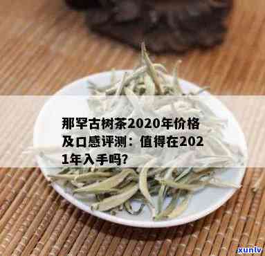 昔归那罕古树茶价格-昔归茶与那罕茶