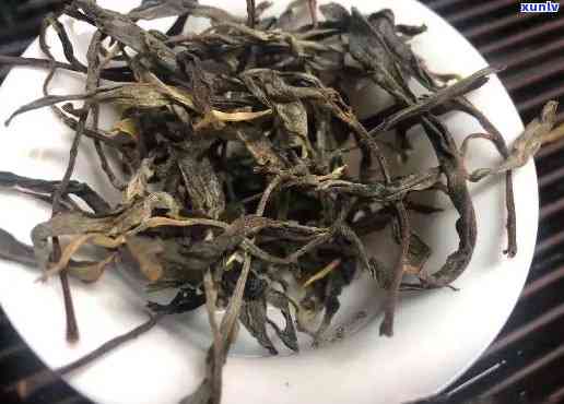 弯古树茶：口感特点及产地解析