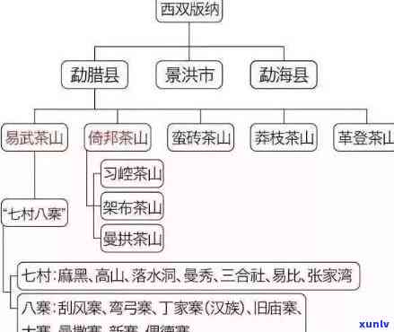 云南古树茶：数量、组成全解析