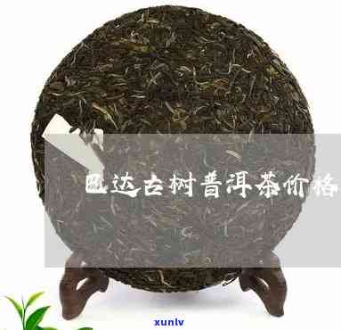 巴达古树茶多少一斤-巴达古树茶多少一斤啊