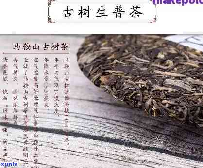 马古树茶的价格是多少？了解其特点与市场价格