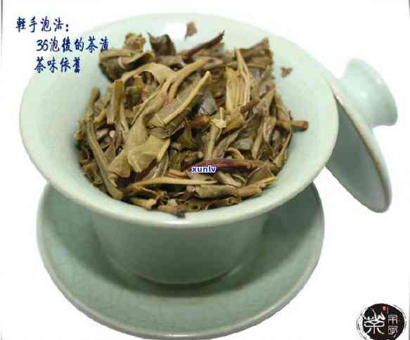 班盆古树茶2019价格行情，深度解析：2019年班盆古树茶的价格走势与市场行情