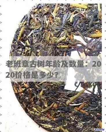 班盆古树茶2020秋茶价格表及历年行情对比