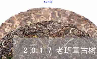 班朋古树茶多少一斤-班盆古树茶2017价格表