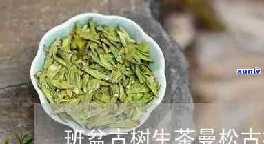 班朋古树茶多少一斤-班盆古树茶2017价格表