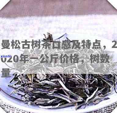 曼松古树茶价格：多少钱一公斤？