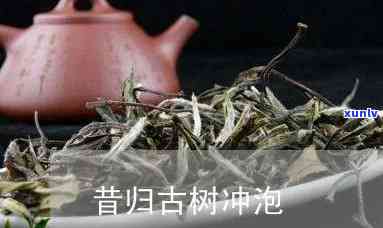 昔归古树茶怎么泡，如何冲泡昔归古树茶？详细步骤解析！