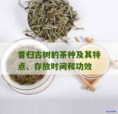 昔归古树茶存放几年饮用期及保存 *** 解析