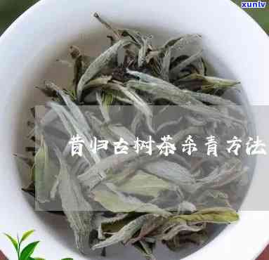 昔归古树茶杀青 *** -昔归古树茶怎么泡