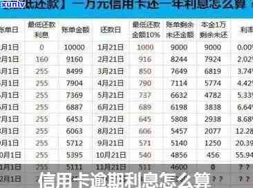 翡翠蛋面手链：尺寸、镶嵌工艺与选购指南