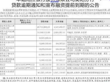 翡翠镯子飘绿花：寓意、介绍与评价