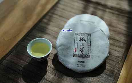 昔归400年古树茶-昔归古树茶有多少年了?