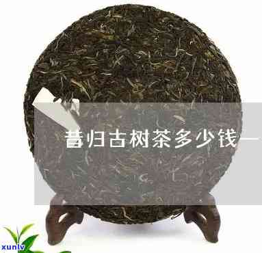 昔归古树茶400克-昔归古树茶多少钱一斤