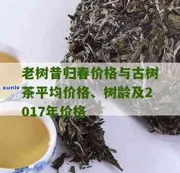 昔归古树茶2017年价格，【最新资讯】昔归古树茶2017年价格解析