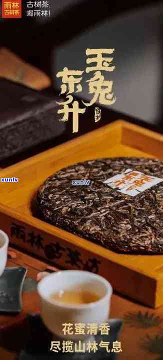 雨林古树茶露：个人资料与简介