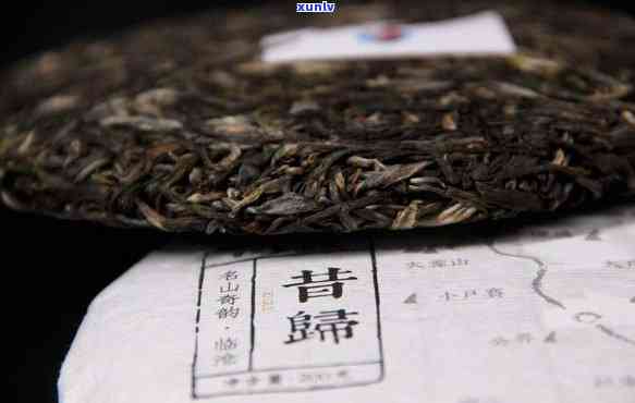 昔归古树茶口感特点-昔归古树茶口感特点的介绍