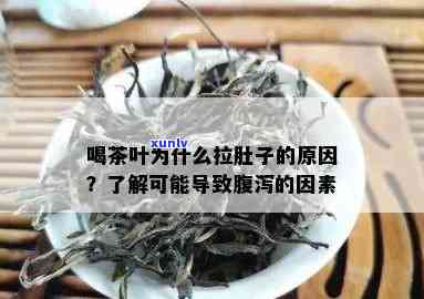 和茶叶腹泻是在排油-茶叶 腹泻