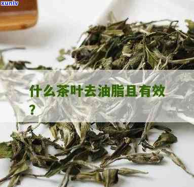 助消化解油腻的茶叶有哪些？品种推荐